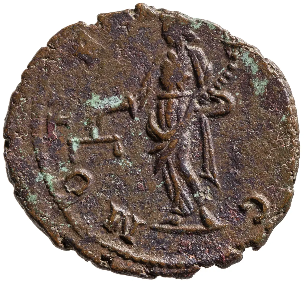 Carausius
