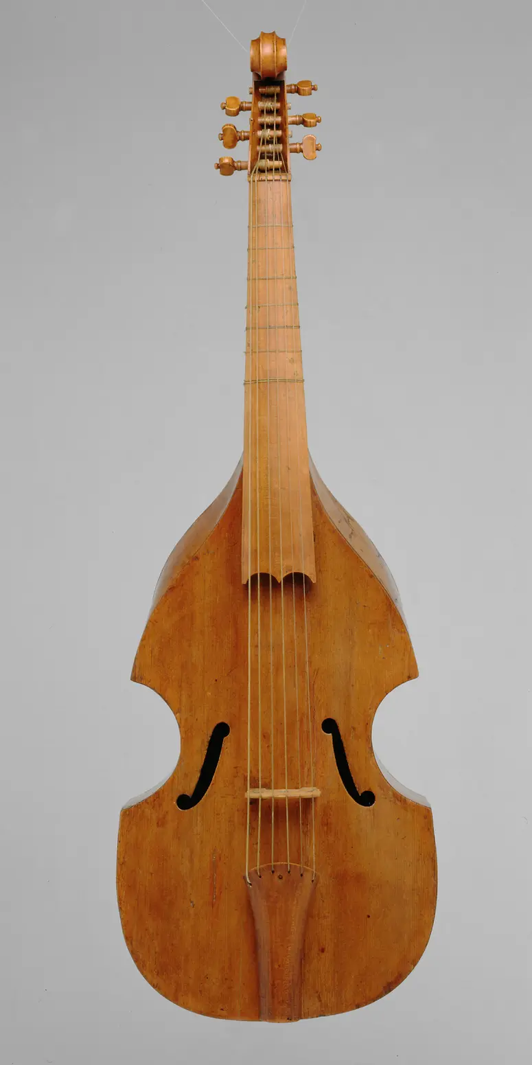 Viola da gamba (viol)