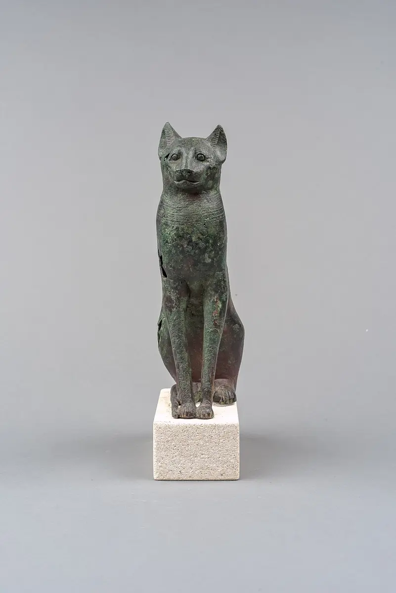 Sitzende Katze