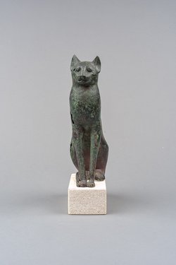 Sitzende Katze
