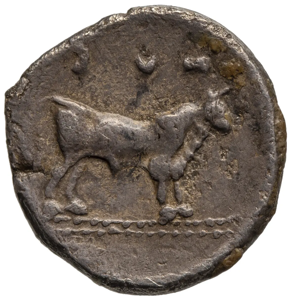 Sybaris
