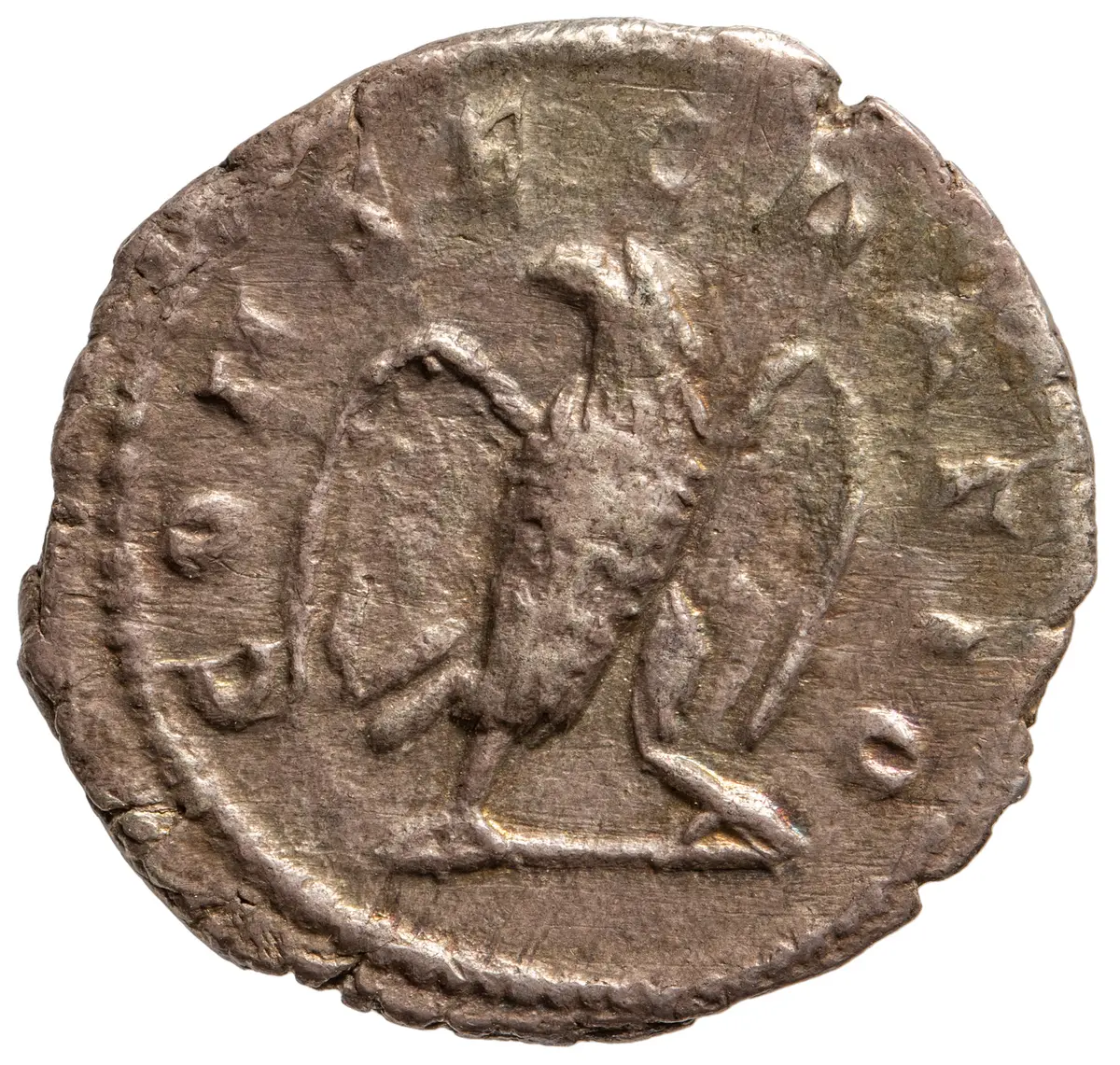 Divus Vespasianus