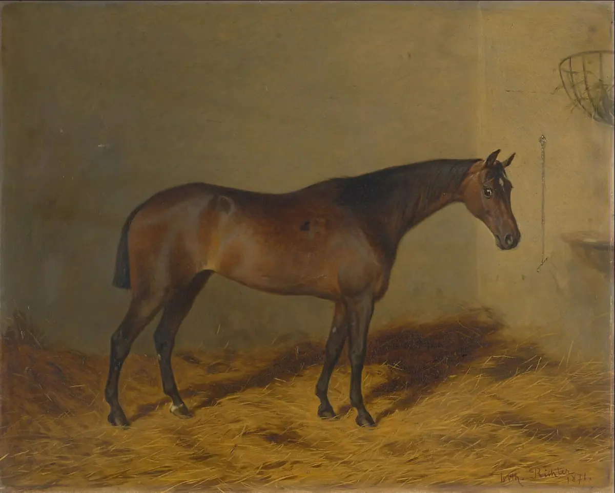Bildnis eines braunen Irländer Pferdes der Kaiserin Elisabeth (Vanity 1871); Öl auf Leinwand, signiert und datiert