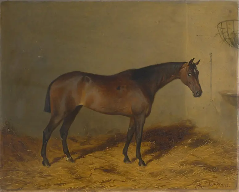 Bildnis eines braunen Irländer Pferdes der Kaiserin Elisabeth (Vanity 1871); Öl auf Leinwand, signiert und datiert