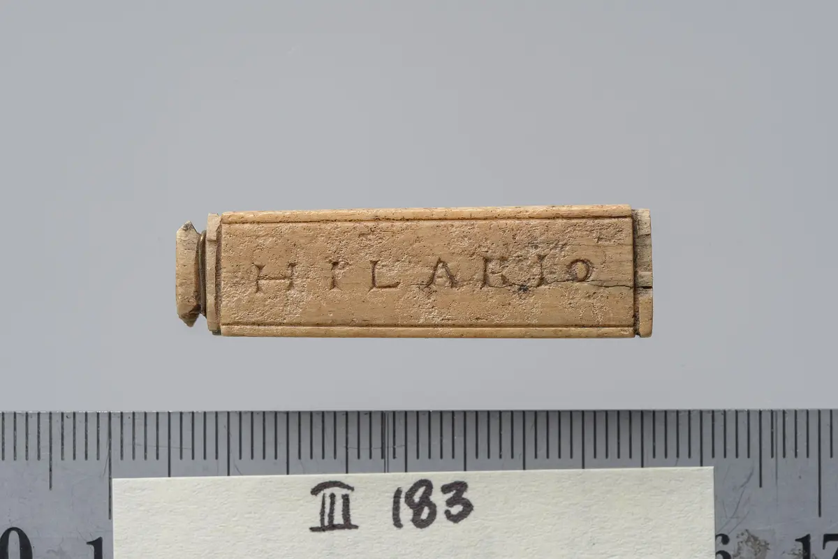 Tessera nummularia