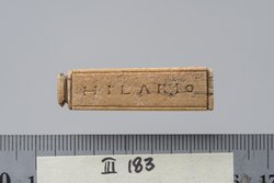 Tessera nummularia