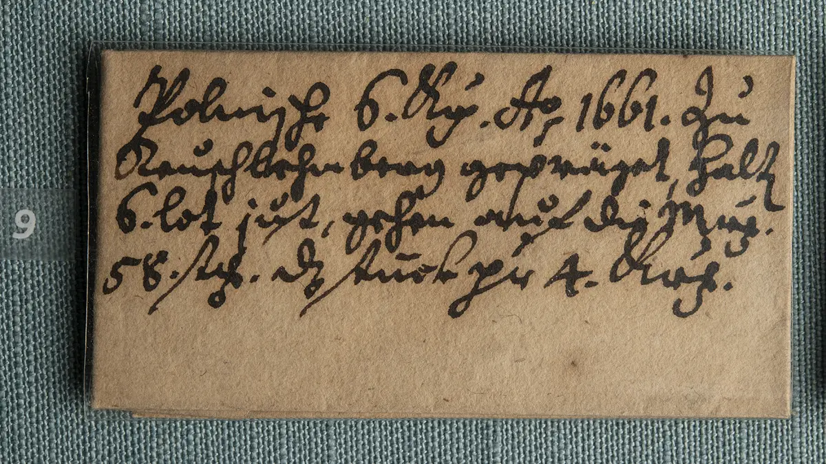 Polen: Johann II. Kasimir