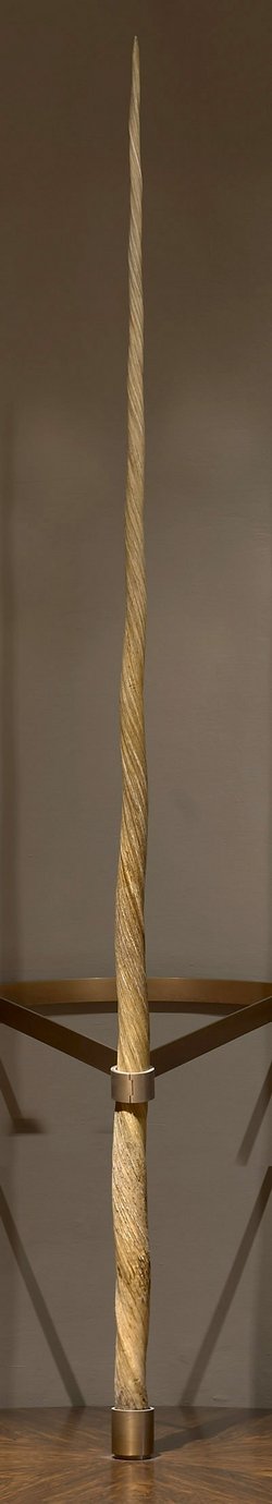 Das "Ainkhürn" (Einhorn)