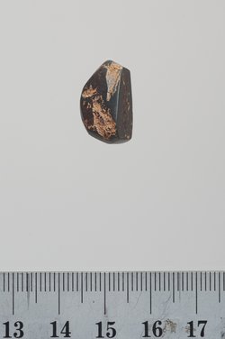 Sieben Gewichte