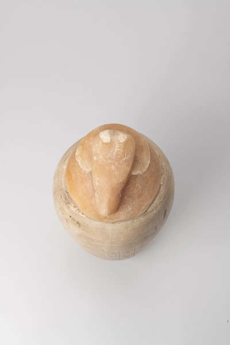 Kanope der Henut-taui mit Deckel in Form eines Schakalkopfes