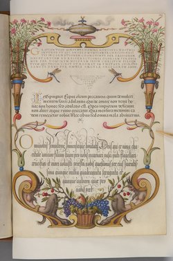 Schriftmusterbuch; 127 Blatt Pergament