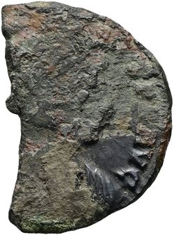 Constans