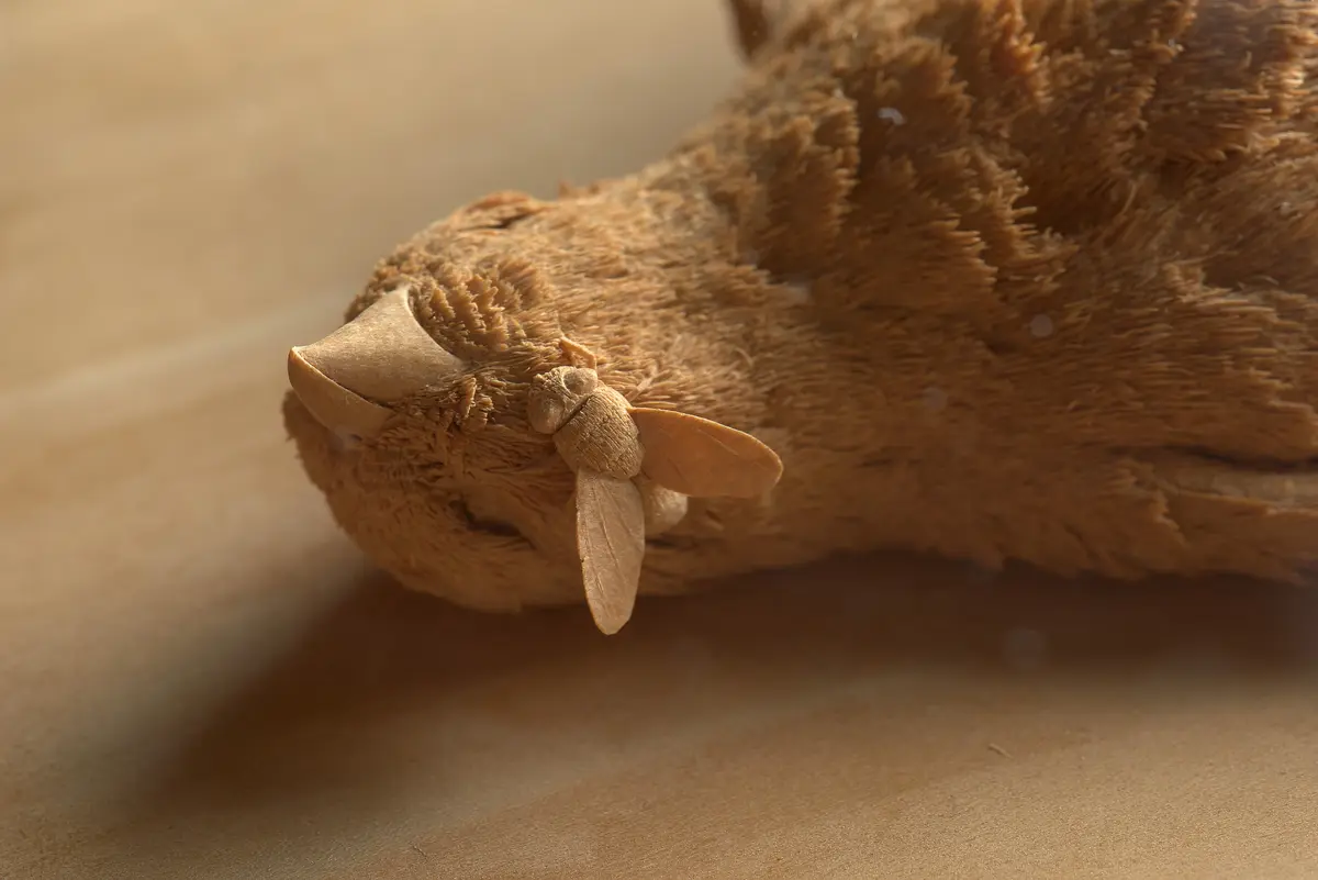 Vogelstillleben