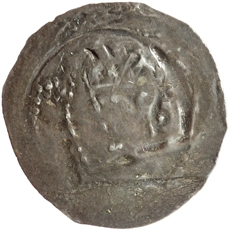 Herzöge von Kärnten: Rudolf I. (1273–1291), oder Söhne Albrecht I. und Rudolf II.