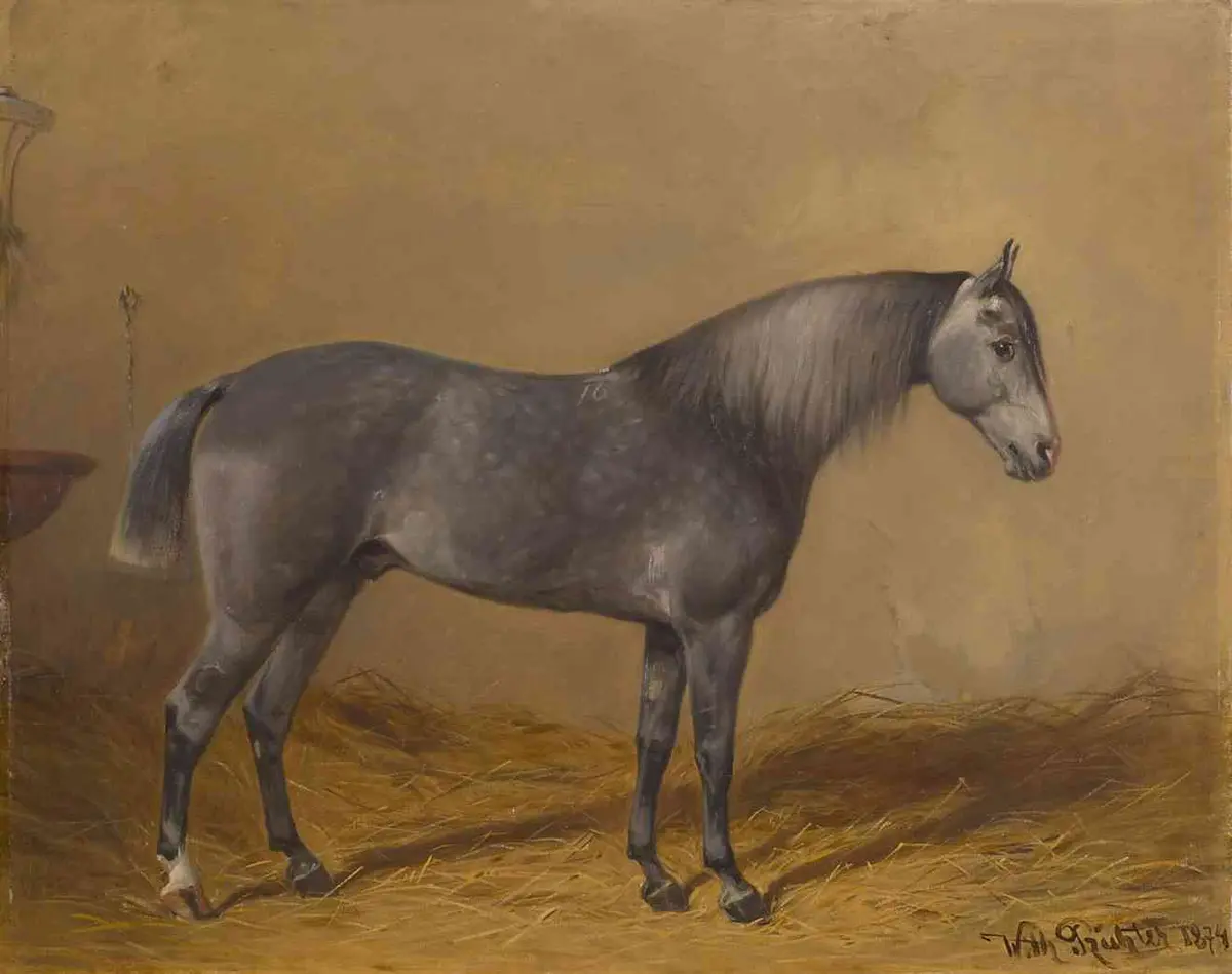 Bildnis eines irländischen Schwarzschimmels der Kaiserin Elisabeth (Machbub 1874); Öl auf Leinwand, signiert und datiert
