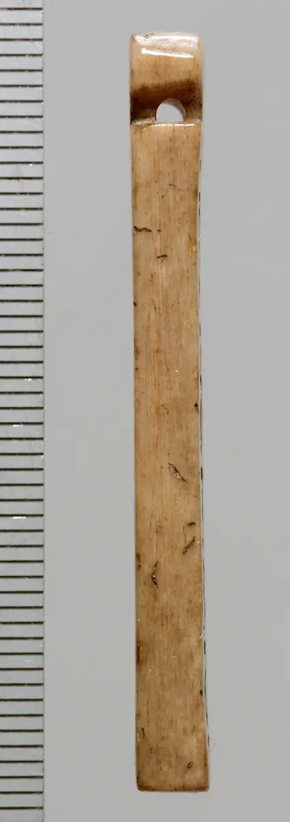 Tessera nummularia