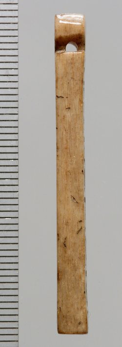 Tessera nummularia