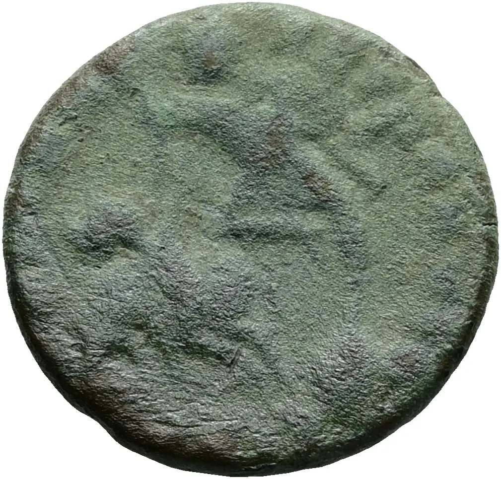 Constantius Gallus