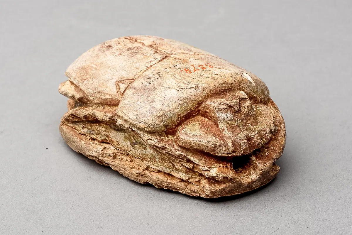 Hochzeitsskarabäus Amenophis' III.