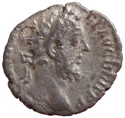 Commodus
