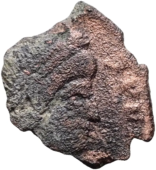 Constans