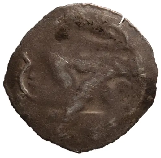 Herzöge von Österreich: Friedrich III., der Schöne (1306/1314–1330)