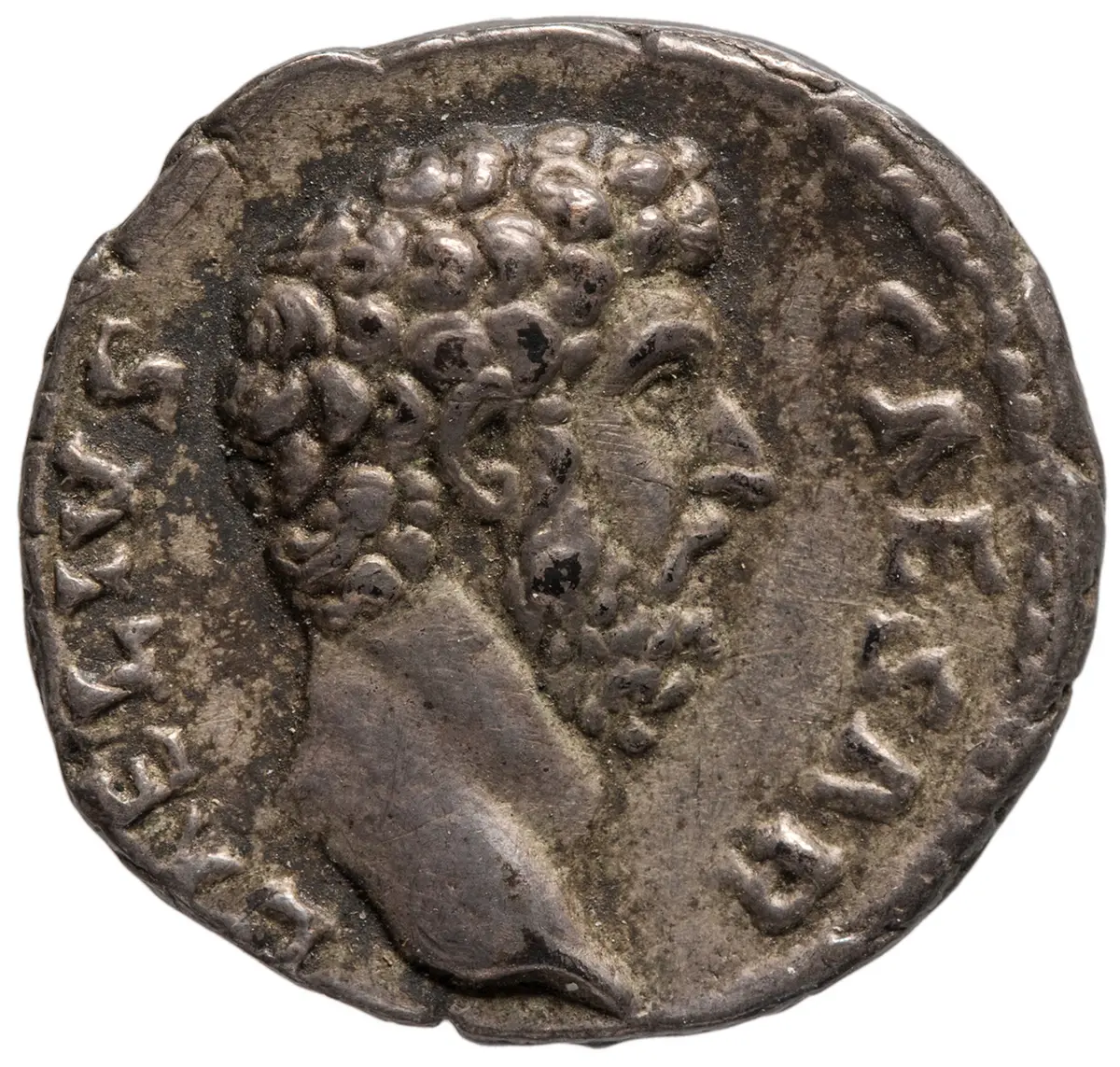 Lucius Aelius