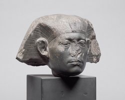 Head from a sphinx of Senwosret III 