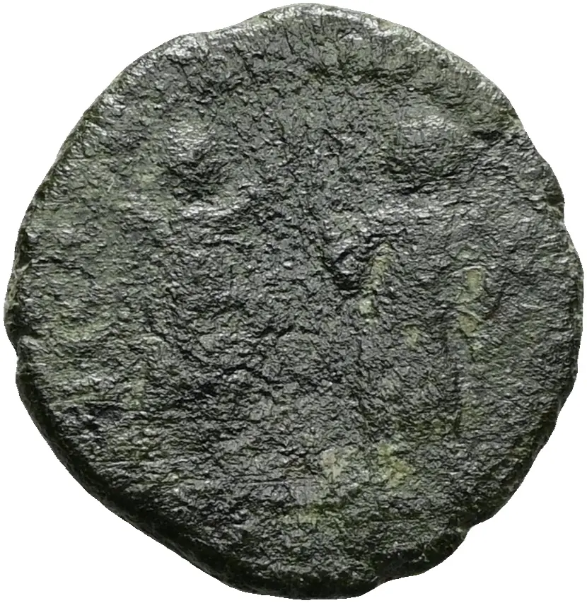 Constans