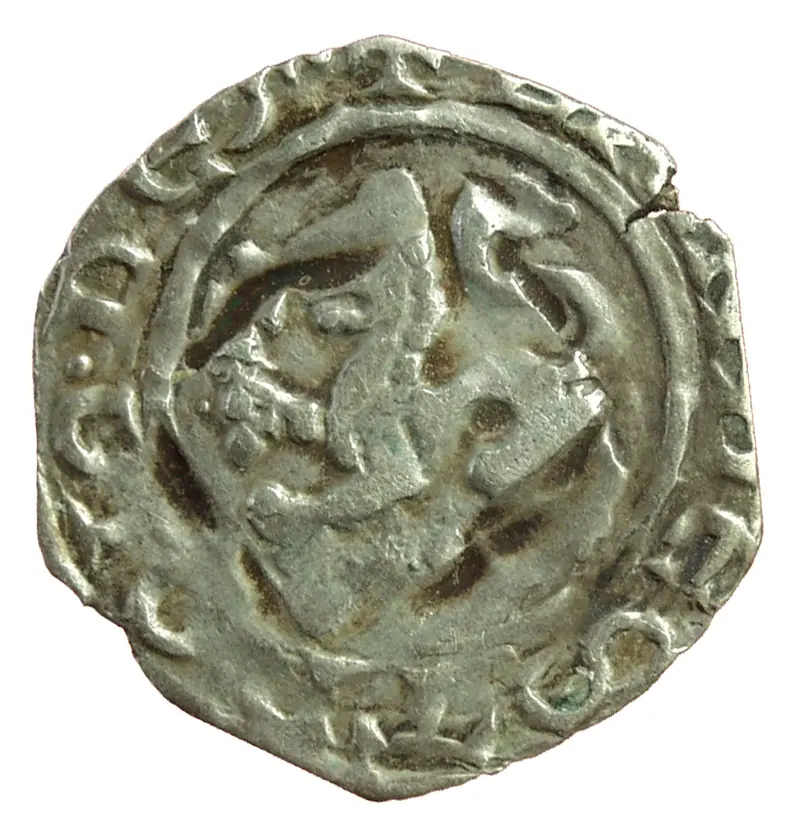 Herzöge von Kärnten / Herren von Krain: Bernhard (1202–1256)