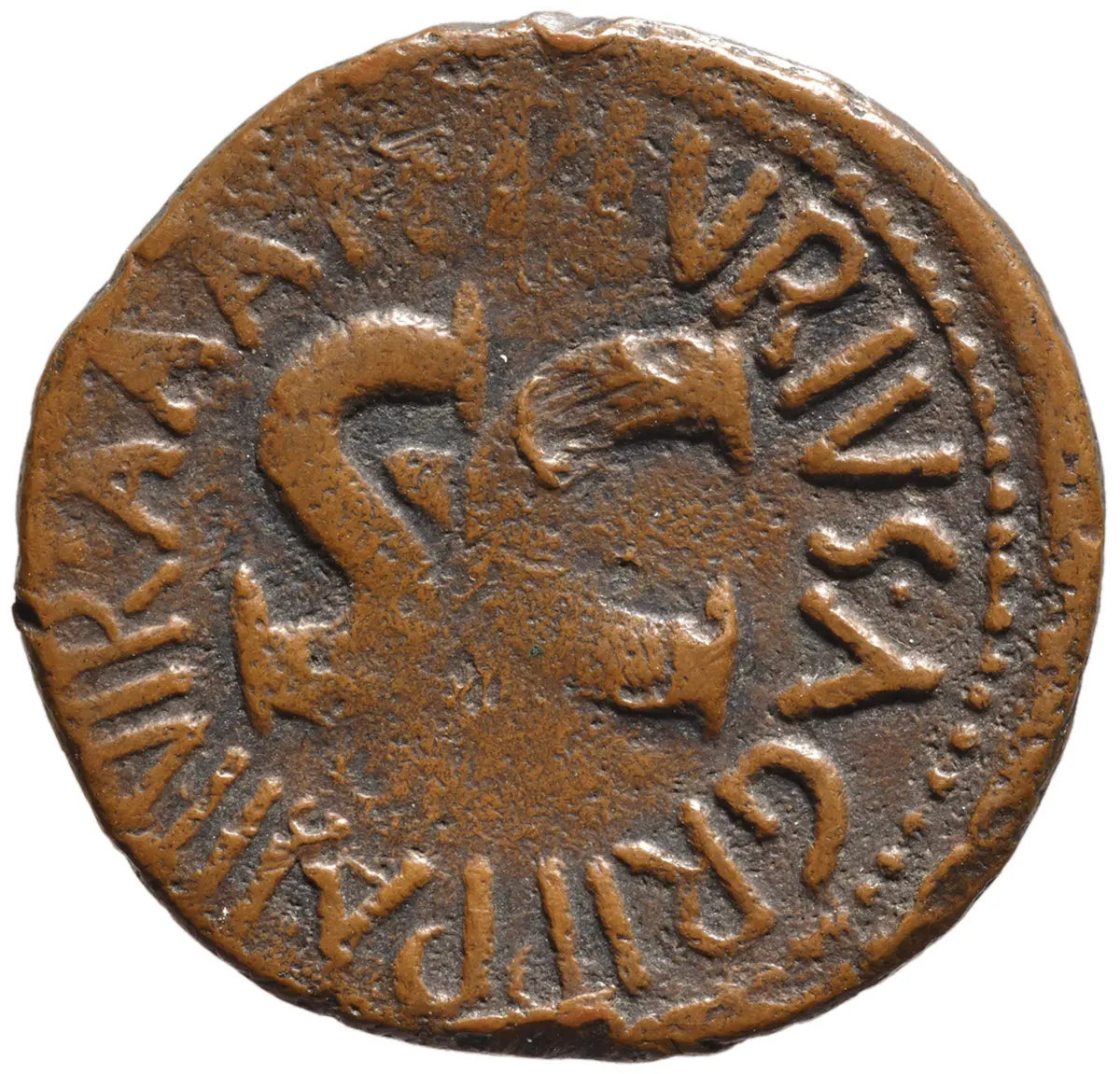 Augustus