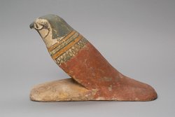 Achom-Falke