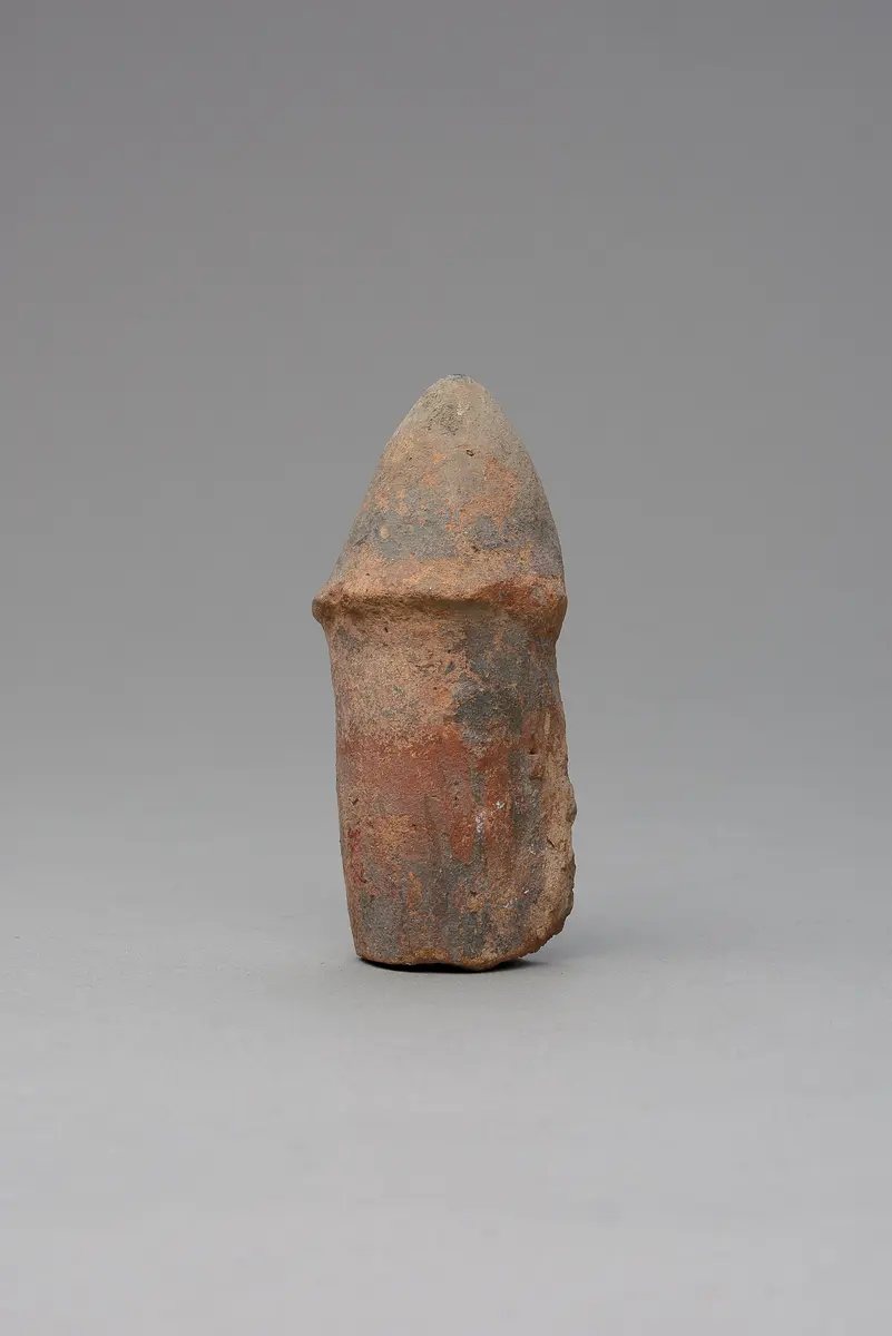 Phallus, fragmentiert