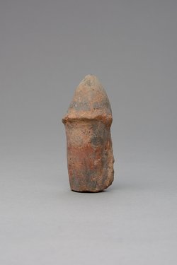 Phallus, fragmentiert
