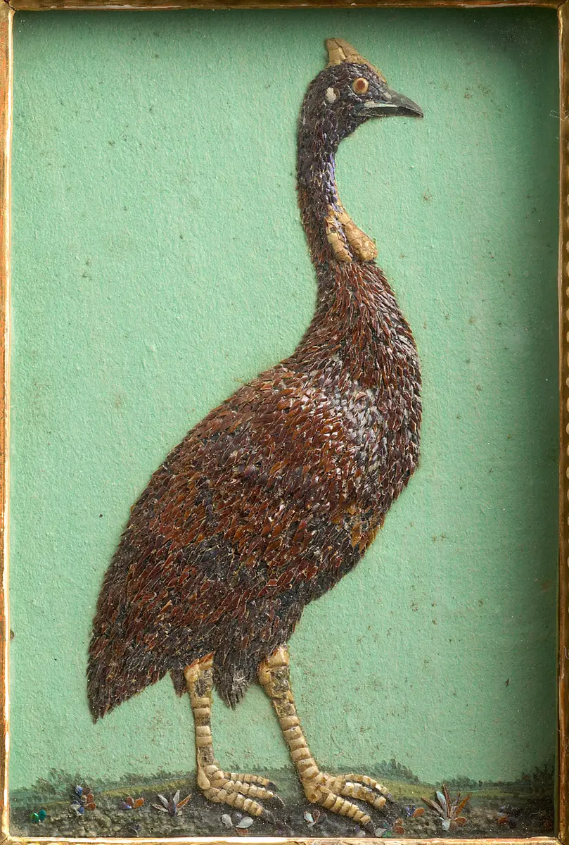 Helmperlhuhn