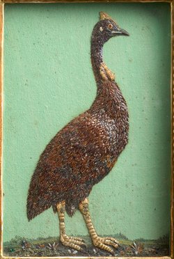 Helmperlhuhn