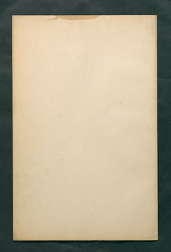 Bestimmungen für den Dienstbetrieb in den kunsthistorischen Sammlungen des Allerhöchsten Kaiserhauses