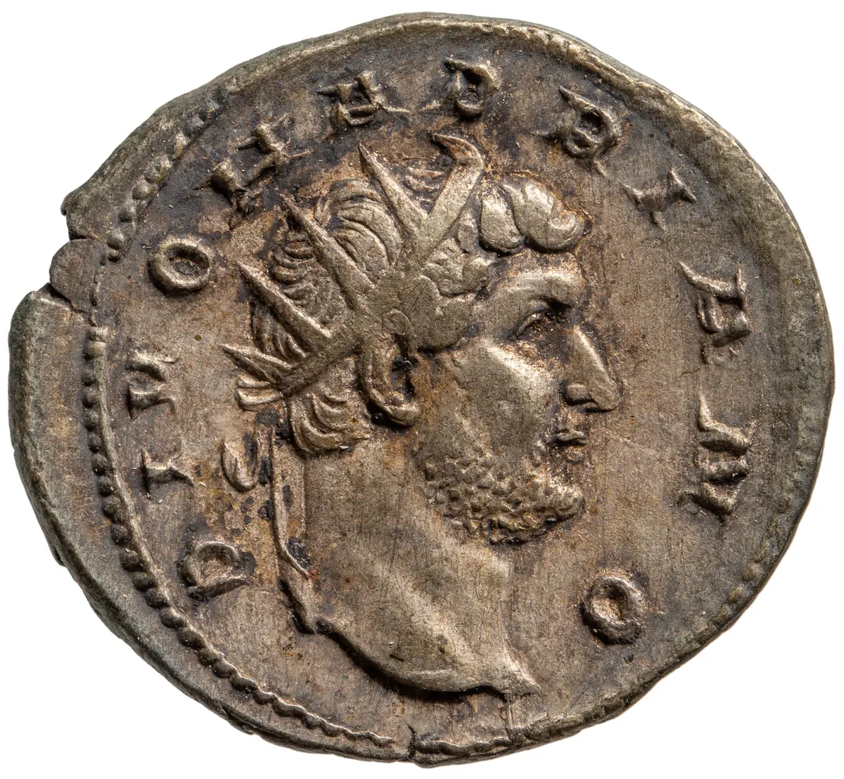 Divus Hadrianus