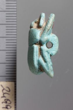 Mumienskarabäus