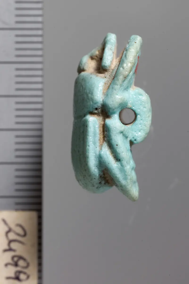 Mumienskarabäus
