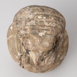 Scheinkanope mit Falkenkopf