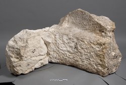Fragment des Sarkophagkastens