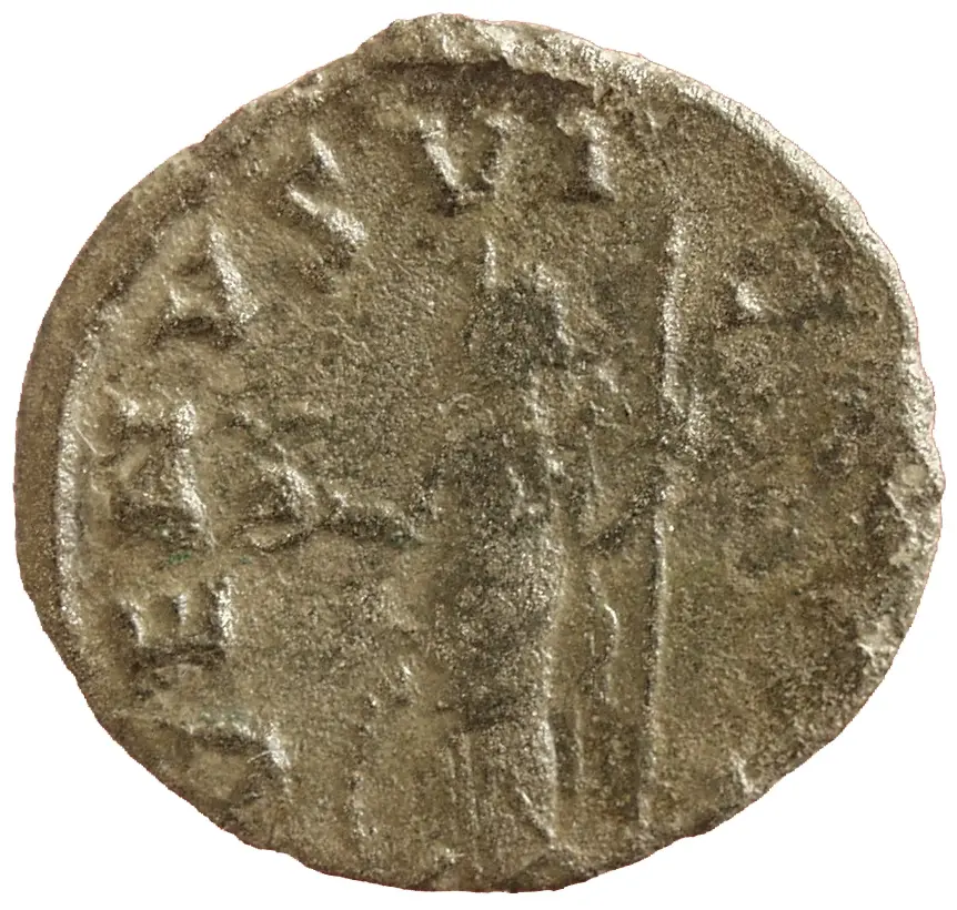 Salonina