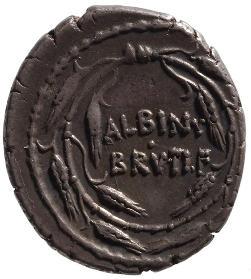 Röm. Republik: Albinus Brutus