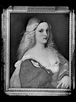 Violante