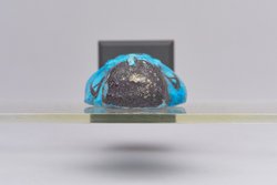 Uschebti für Prinzessin Maat-ka-re