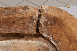 Deckel des mumienförmigen Außensarges der But-har-chensu