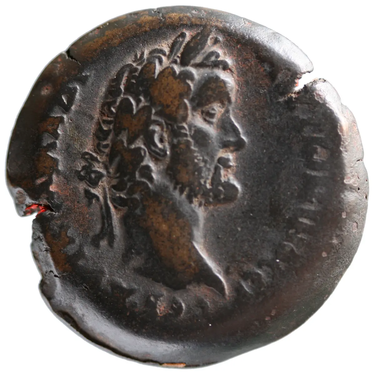 Alexandria: Antoninus Pius