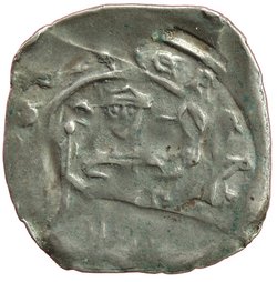 Herzöge von Kärnten / Herren von Krain: Bernhard (1202–1256)