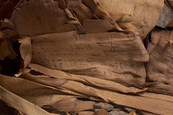 Unterteil des Kastensarges des An-em-her mit Mumie und Teilkartonage